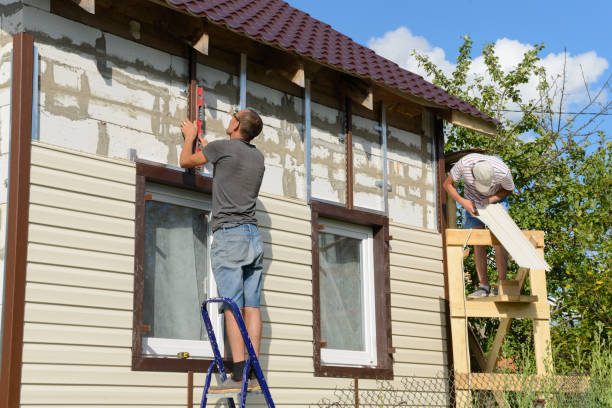 Best Fascia and Soffit Installation  in Morton Grove, IL